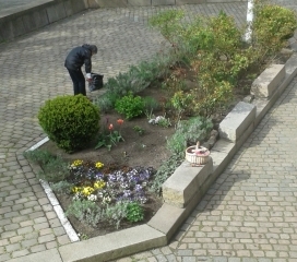 Blumenbeet