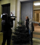 Aufhängen des Weihnachtssterns